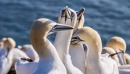 开云网站-中国女足珀斯首训：唐佳丽单独训练，陈巧珠缺席|体育场|夏季奥林匹克运动会|朝鲜|俱乐部|奥林匹克_新浪体育_新浪新闻